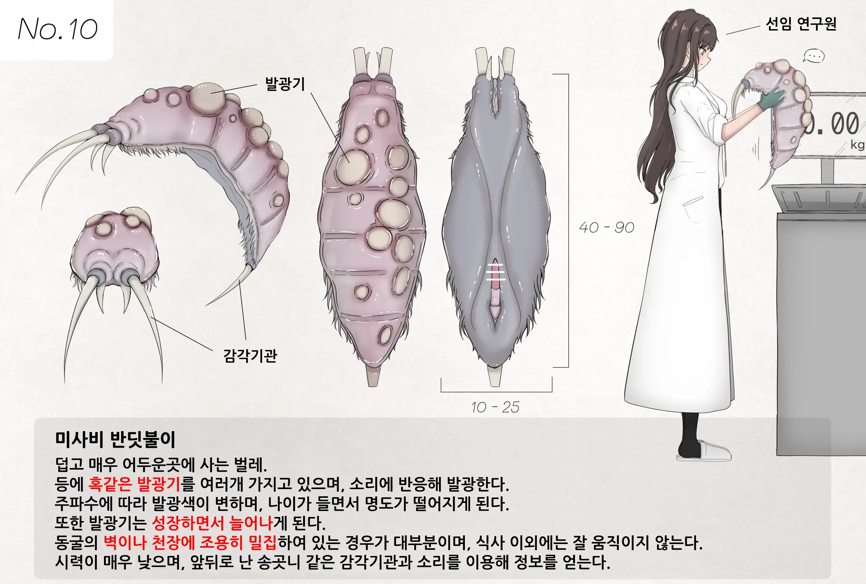 Insect Research Report